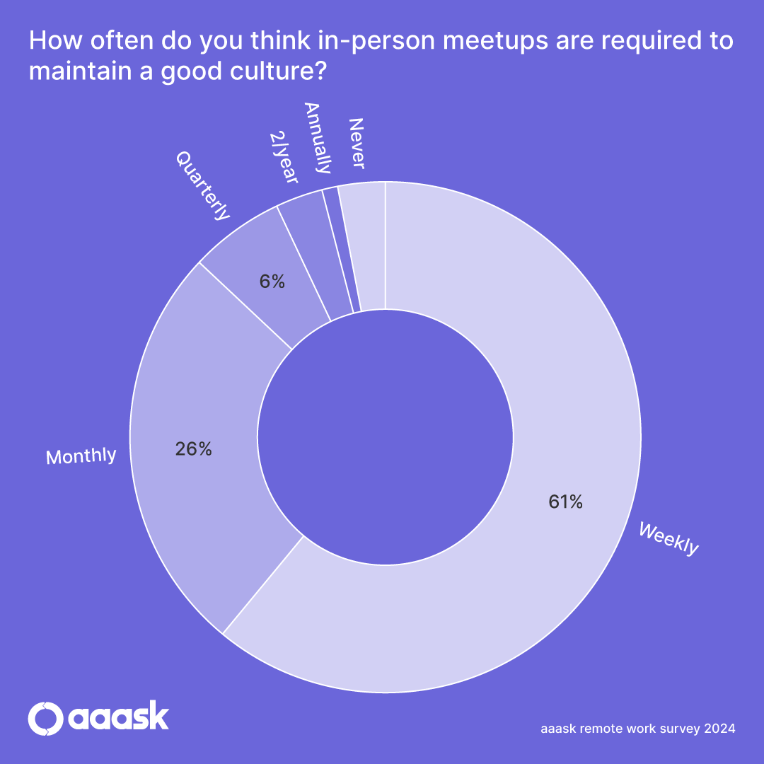 Remote Work Statistic