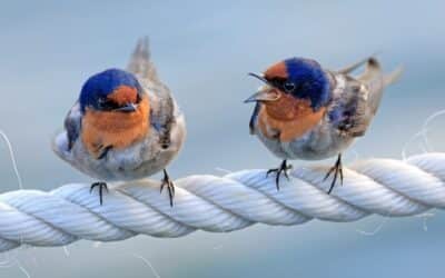 10 Ways to Manage Confrontations at Work