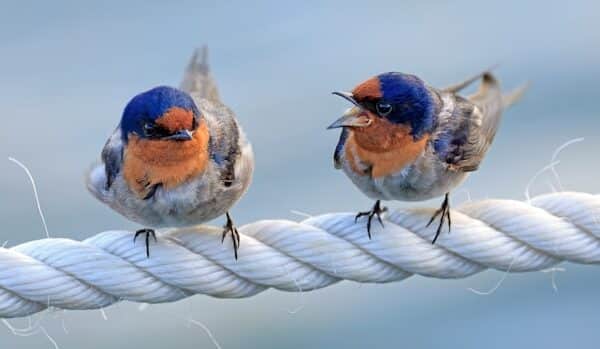 confrontations-at-work