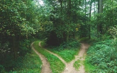 8 Steps to Making Faster, Smarter Team Decisions